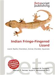 Indian Fringe-Fingered Lizard,6135257390,9786135257397