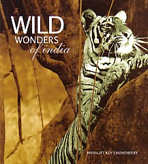 Wild Wonders of India,8189738259,9788189738259