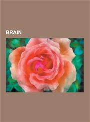 Brain Broca's Area, Brain Tumor, Cerebellum, Visual Cortex, Basal Ganglia, Language Center, Human Brain, Activity-Dependent,1230634878,9781230634876