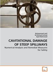CAVITATIONAL DAMAGE OF STEEP SPILLWAYS,3639254031,9783639254037
