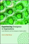 Experiencing Emergence in Organizations  Local Interaction and the Emergence of Global Pattern (Complexity as the Experience of Organizing),0415351332,9780415351331