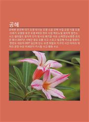 Gonghae Gonghaebyeong, Gwang-Gonghae, Daegi Oyeom, Bangsaneung Oyeom, So-Eum Gonghae, Sujil Oyeom, Sigpum Oyeom, Sseulegi, Oyeom-Won,1233927795,9781233927791