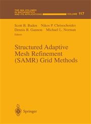 Structured Adaptive Mesh Refinement (SAMR) Grid Methods 1st Edition,0387989218,9780387989211