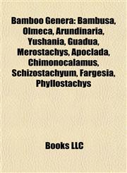 Bamboo Genera Bambusa, Olmeca, Arundinaria, Yushania, Guadua, Merostachys, Apoclada, Chimonocalamus, Schizostachyum, Fargesia, Phyllostachys,1155543424,9781155543420