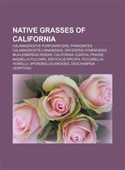 Native grasses of California Calamagrostis purpurascens, Phragmites, Calamagrostis canadensis, Oryzopsis hymenoides, Muhlenbergia rigens,1233088092,9781233088096