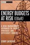 Energy Budgets at Risk A Risk Management Approach to Energy Purchase and Efficiency Choices,0470197676,9780470197677