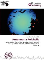 Antennaria Pulchella,6200129886,9786200129888