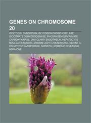 Genes on chromosome 20 Oxytocin, Dynorphin, Glycogen phosphorylase, Isocitrate dehydrogenase, Phosphoenolpyruvate carboxykinase, DNA clamp,1156479827,9781156479827