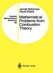 Mathematical Problems from Combustion Theory,0387971041,9780387971049