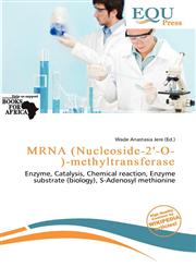 MRNA (Nucleoside-2'-O-)-methyltransferase,6200018081,9786200018083