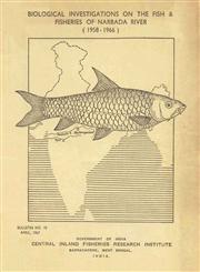 Biological Investigations on the Fish and Fisheries of Narbada River - 1958-196