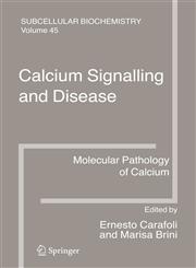 Calcium Signalling and Disease Molecular Pathology of Calcium,9048175607,9789048175604