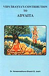 Vidyaranya's Contribution to Advaita 1st Edition,8171103197,9788171103195