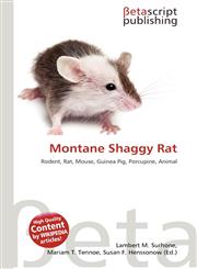 Montane Shaggy Rat,6135431218,9786135431216