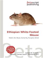 Ethiopian White-Footed Mouse,6135409573,9786135409574