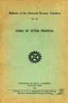 Fungi of Uttar Pradesh 1st Edition