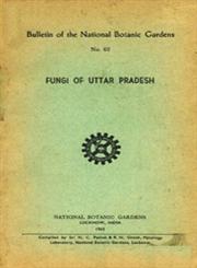Fungi of Uttar Pradesh 1st Edition