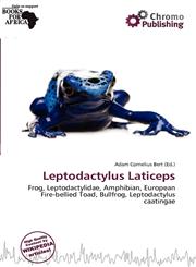 Leptodactylus Laticeps,6139724643,9786139724642