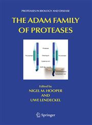 The ADAM Family of Proteases,0387251499,9780387251493