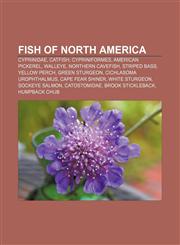 Fish of North America Cyprinidae, Catfish, Cypriniformes, American pickerel, Walleye, Northern cavefish, Striped bass, Yellow perch,1157656730,9781157656739