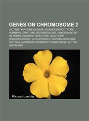 Genes on chromosome 2 Lactase, Xanthine oxidase, Adrenocorticotropic hormone, Ornithine decarboxylase, Hexokinase, NF-κB,1156479819,9781156479810