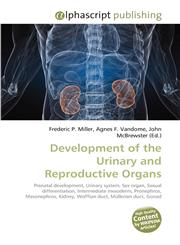 Development of the Urinary and Reproductive Organs,6130228783,9786130228781