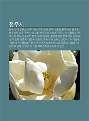 Jeonjusi Jeonbug Hyeondae Moteoseu, Jeonju Issi, Jeonju Choessi, Jeonjusi Chulsin, Jeonjusiui Geonchugmul, Jeonjusiui Gyoyug,1233938975,9781233938971