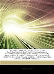 Articles On Cantharellales, including Chanterelle, Cantharellaceae, Cantharellus, Craterellus, Craterellus Cornucopioides, Hydnum Repandum, Rhizoctonia Solani, Ceratobasidium Cornigerum, Hydnum Rufescens, Ceratobasidium Noxium,124336856X,9781243368560