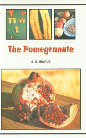 The Pomegranate,9380235151,9789380235158