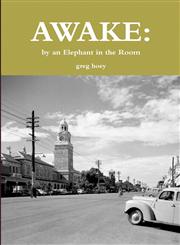 Awake By an Elephant in the Room,1304966852,9781304966858