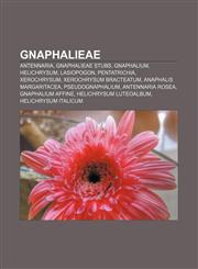 Gnaphalieae Antennaria, Gnaphalieae stubs, Gnaphalium, Helichrysum, Lasiopogon, Pentatrichia, Xerochrysum, Xerochrysum bracteatum,1155970756,9781155970752