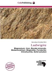 Ludwigite,6139761093,9786139761098