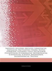 Articles On Santalales, including Mistletoe, Loranthaceae, Santalaceae, Dactylanthus Taylorii, Nuytsia Floribunda, Leptomeria, Coula, Viscum Album, Ptychopetalum, Octoknemaceae, Erythropalaceae, Schoepfiaceae, Schoepfia, Misodendron,1243227400,9781243227409