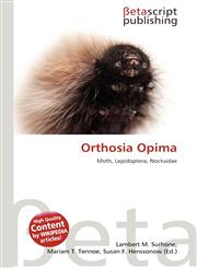 Orthosia Opima,6136427710,9786136427713