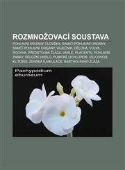 Rozmnožovací soustava Pohlavní orgány člověka, Samičí pohlavní orgány, Samčí pohlavní orgány, Vaječník, Děloha, Vulva, Pochva,1232845876,9781232845874