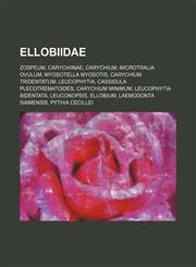 Ellobiidae Carychiinae, Carychium, Microtralia Ovulum, Zospeum, Cassidula Plecotrematoides, Myosotella Myosotis, Leucophytia Bidentata,1156087252,9781156087251