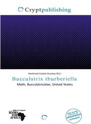Bucculatrix thurberiella,6138125932,9786138125938