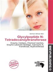 Glycylpeptide N-Tetradecanoyltransferase,6200043752,9786200043757