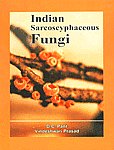 Indian Sarcoscyphaceous Fungi,8172335253,9788172335250