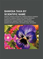 Banksia taxa by scientific name Banksia, Banksia prionotes, Banksia sessilis, Banksia attenuata, Banksia spinulosa, Banksia menziesii,1156941962,9781156941966
