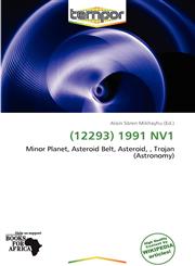 (12293) 1991 NV1,6138669444,9786138669449