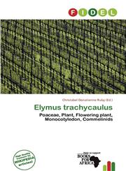 Elymus trachycaulus,6138469054,9786138469056