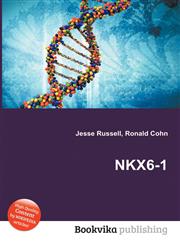 Nkx6-1,5511984698,9785511984698