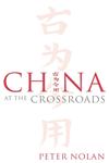 China at the Crossroads,0745632386,9780745632384