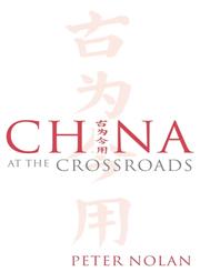 China at the Crossroads,0745632386,9780745632384