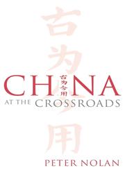 China at the Crossroads,0745632386,9780745632384