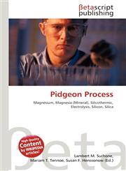 Pidgeon Process,6131360707,9786131360701