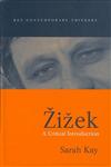 Zizek A Critical Introduction,0745622089,9780745622088