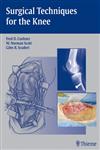 Surgical Techniques for the Knee 1st Edition,0865779775,9780865779778