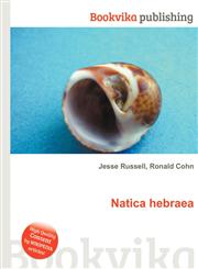 Natica Hebraea,5512181440,9785512181447